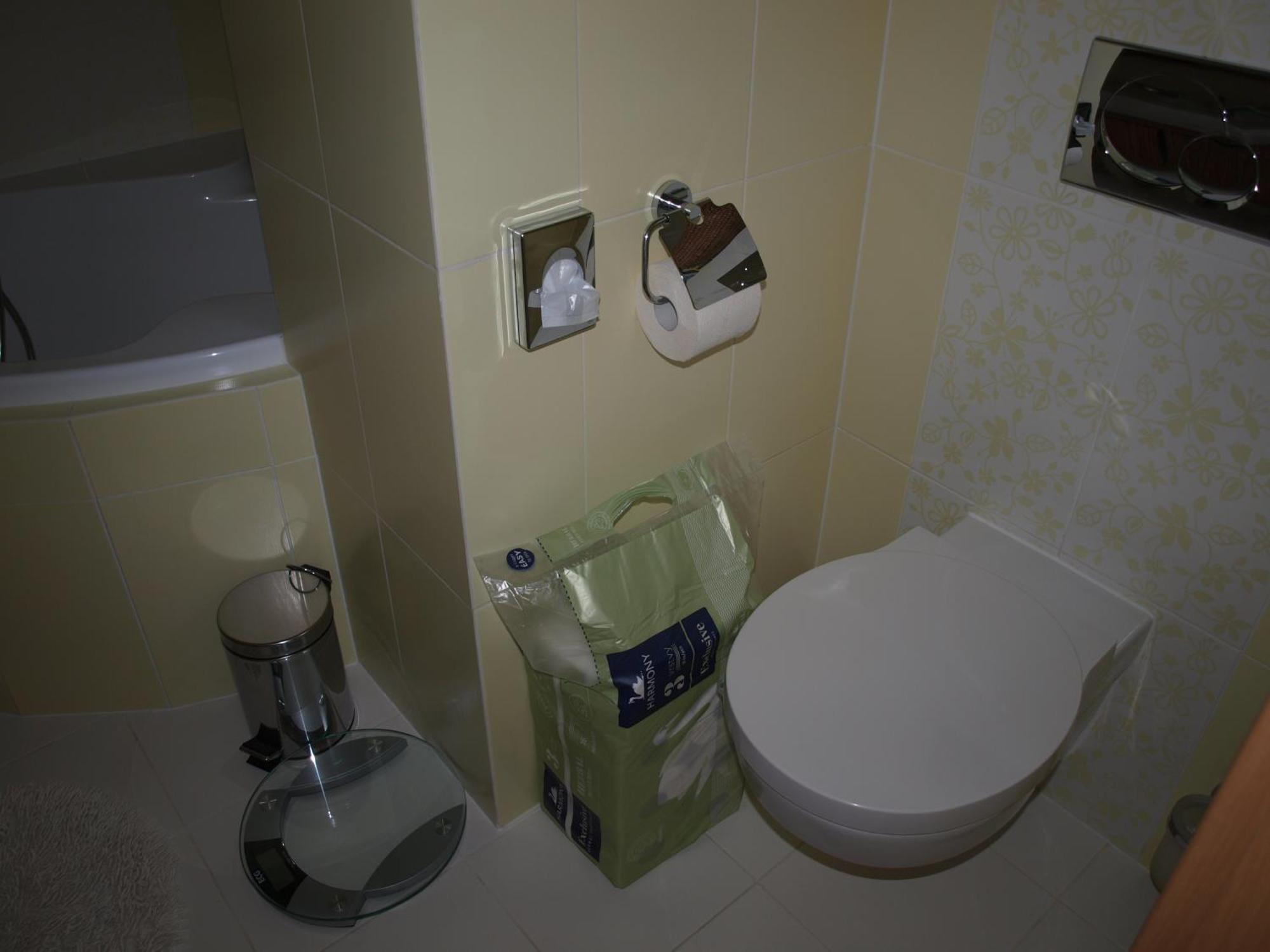 Apartman Drahovice Karlovy Vary Eksteriør bilde
